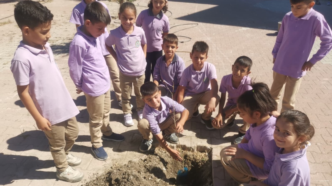 2025-2026 EĞİTİM ÖĞRETİM YILINA AĞAÇ DİKİMİ İLE BAŞLADIK